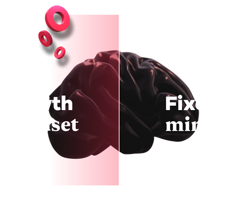 This image illustrated a brain split into a growth mindset and a fixed mindset.